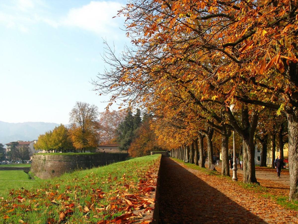Villa Grespola Lucca Buitenkant foto
